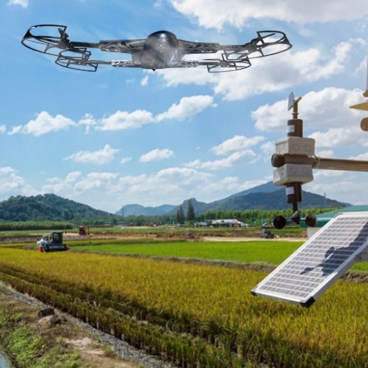 芒果视频 - 无人机航拍芒果果园全景